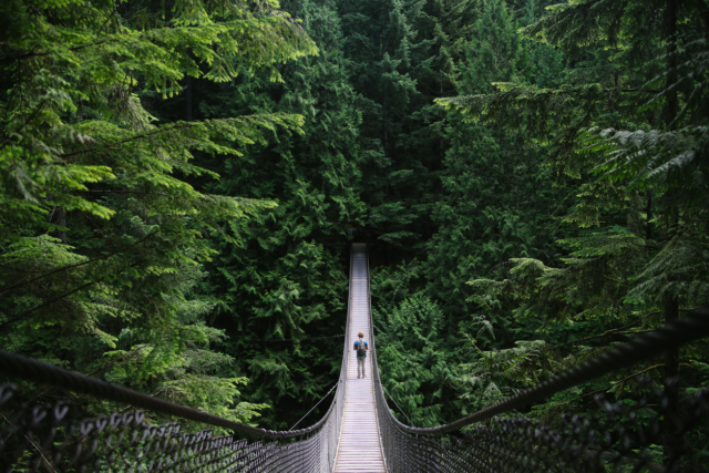 Nurture vs. Nature: Is talent just born…a natural fit found through basic keyword matching? Or is it cultivated…carefully nurtured through a thoughtful, AI-driven process?